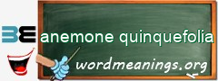 WordMeaning blackboard for anemone quinquefolia